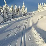 At Norefjell, Ski-inout And Panorama Ferienhaus Noresund