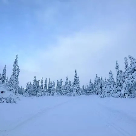 At Norefjell, Ski-inout And Panorama Hébergement de vacances *